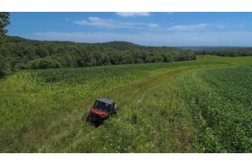 39.58 AC Pollander Rd, Prairie Du Chien, WI 53821