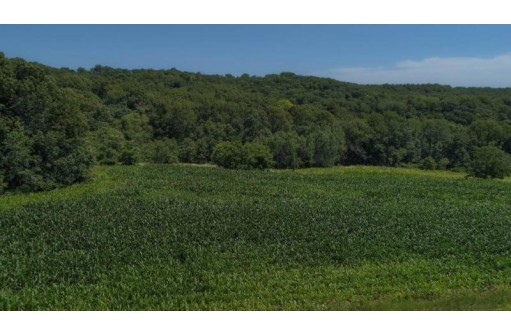 39.58 AC Pollander Rd, Prairie Du Chien, WI 53821