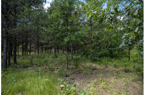 N10315 Timber Ln, Necedah, WI 54646