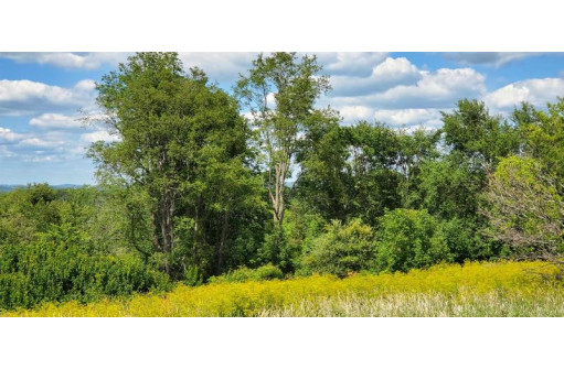 00 County Road Pf/Klein Rd, North Freedom, WI 53951-0000