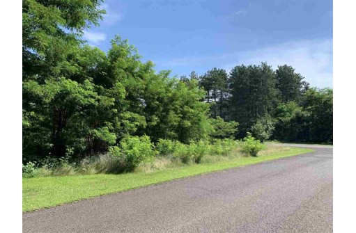 LOT28 Busse Ln, Baraboo, WI 53913