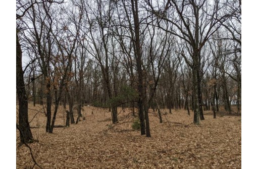 LOT 11 13th Ln, Friendship, WI 53934