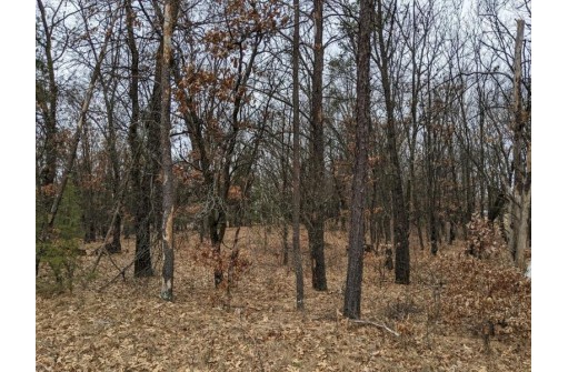 LOT 11 13th Ln, Friendship, WI 53934