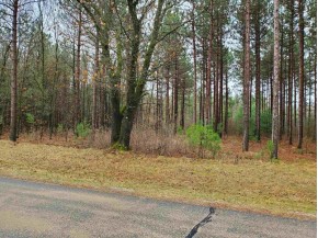 LOT 5 Longview Ln