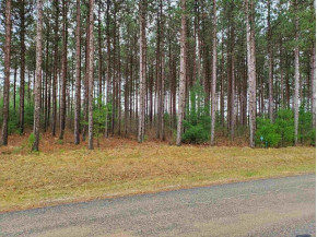 LOT 5 Longview Ln