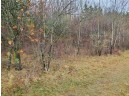 LOT 5 Longview Ln, Nekoosa, WI 54457