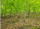 40+30 ACRES Pine Ave, Hillsboro, WI 54634