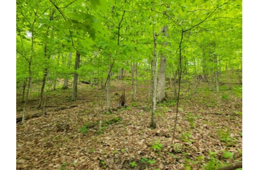 40+30 ACRES Pine Ave, Hillsboro, WI 54634