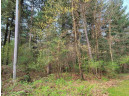 LOT 49 Evergreen St, Brodhead, WI 53520