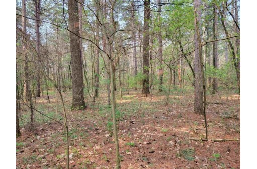 LOT 49 Evergreen St, Brodhead, WI 53520