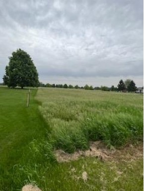 LOT 13 Golf Course Rd