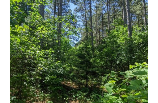 LOT 29 7th St, Necedah, WI 54646