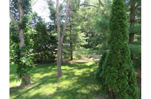 W10698 Hickory Ln, Fox Lake, WI 53933-0000