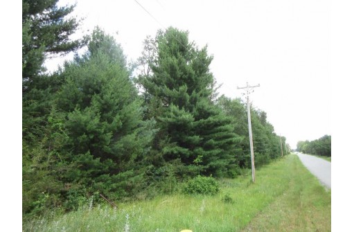 LOT 2 19th Ave, Necedah, WI 54646