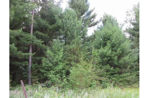 LOT 2 19th Ave, Necedah, WI 54646