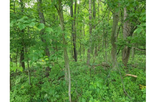 2.69 AC O'Neil Rd, Baraboo, WI 53913