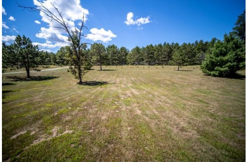 N9176 Sundance Ln, Necedah, WI 54646