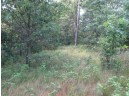 1086 14th Ct, Arkdale, WI 54613