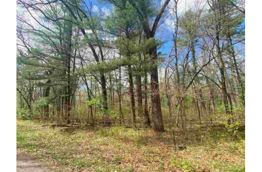 LOT 1-6 S Cree Ln, Arkdale, WI 54613