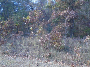 .92 AC Woodland Hills Ct