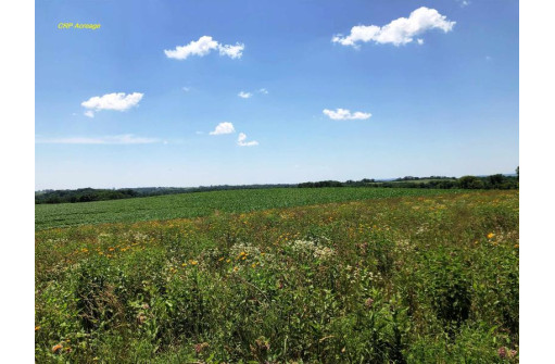 98.33 ACRES Pikes Peak Rd, Lancaster, WI 53813