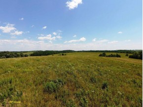 98.33 ACRES Pikes Peak Rd