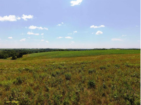 98.33 ACRES Pikes Peak Rd