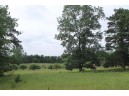 N7114 Buffalo Ln, Neshkoro, WI 54960-0000