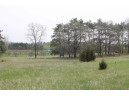 N7114 Buffalo Ln, Neshkoro, WI 54960-0000