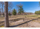 1 ACRE Arbor Lake, Lyndon Station, WI 53944