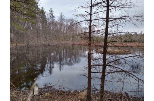 LOT Lakeland Dr, Rhinelander, WI 54501