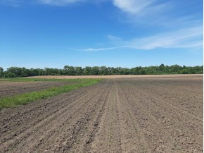 18+/- ACRES Shady Lane Rd