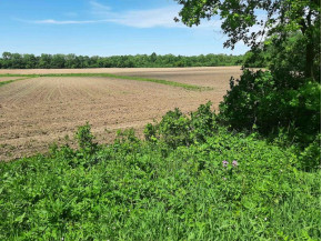 18+/- ACRES Shady Lane Rd