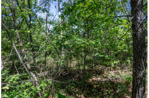 5 AC Hwy 21, Necedah, WI 54646