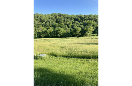 LOT 1 CSM #1192 Cliffwood Dr, Prairie Du Chien, WI 53821