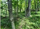 55 ACRES +/- Sparks Hill Rd, Cazenovia, WI 53924