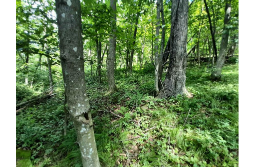 55 ACRES +/- Sparks Hill Rd, Cazenovia, WI 53924