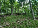 55 ACRES +/- Sparks Hill Rd, Cazenovia, WI 53924