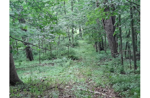 55 ACRES +/- Sparks Hill Rd, Cazenovia, WI 53924