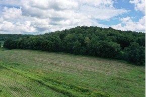 55 ACRES +/- Sparks Hill Rd