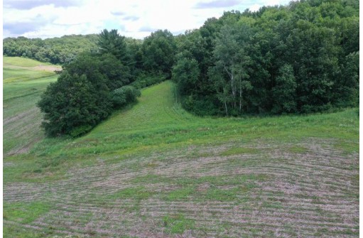 55 ACRES +/- Sparks Hill Rd, Cazenovia, WI 53924