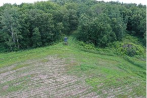 55 ACRES +/- Sparks Hill Rd