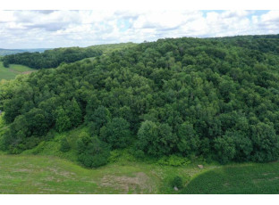 55 ACRES +/- Sparks Hill Rd Cazenovia, WI 53924