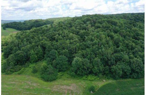 55 ACRES +/- Sparks Hill Rd, Cazenovia, WI 53924