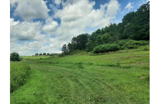 55 ACRES +/- Sparks Hill Rd, Cazenovia, WI 53924