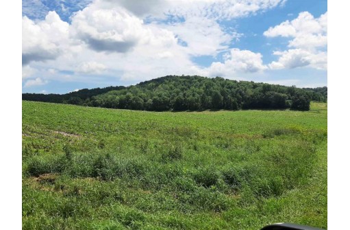 55 ACRES +/- Sparks Hill Rd, Cazenovia, WI 53924