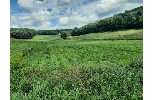 55 ACRES +/- Sparks Hill Rd, Cazenovia, WI 53924