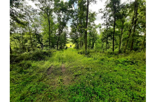 55 ACRES +/- Sparks Hill Rd, Cazenovia, WI 53924