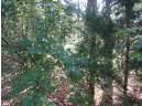 LOT 22 Cypress Dr, Friendship, WI 53934