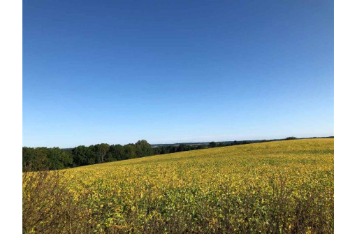 LOT 2 Cardinal Crest Ln, New Glarus, WI 53574